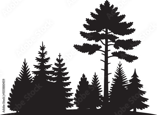 Monochromatic Forest Silhouette Graphic with Coniferous and Deciduous Trees Creating a Dense Woodland Scene in Simple Black and White