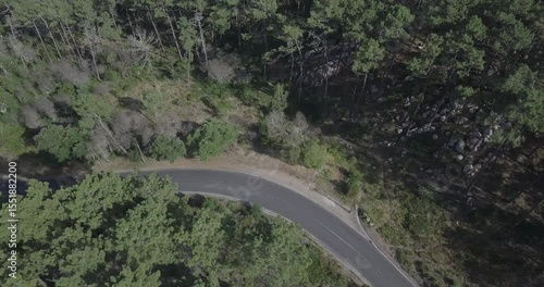 Top-Down Aerial View of the road in the forest