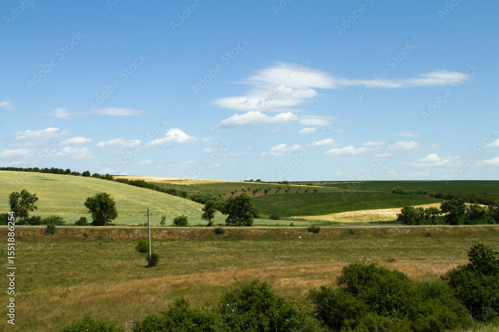 Fototapeta premium A green field with trees and blue sky