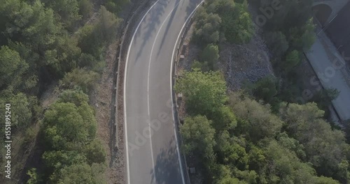 Drone Ascending Over road in the forest