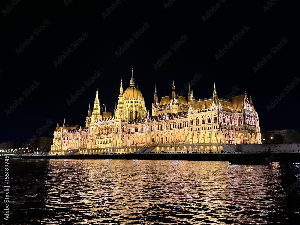 Fototapeta premium Le Parlement à Budapest de nuit, depuis le Danube