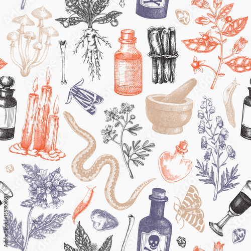 Witchcraft seamless pattern. Bohemian background. Witch herbs, poisonous plants, magic ingredients, animals, and floral elements. NOT AI generated
