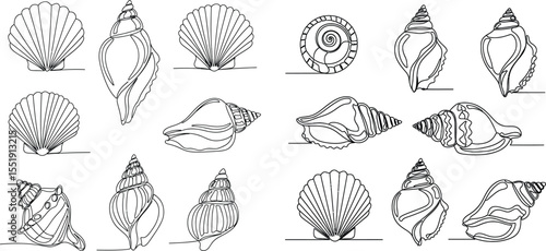 Continuous Line Drawing Collection of Seashells, Beach Theme, Coastal Decor Art