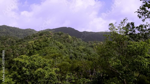 Wallpaper Mural Tobago and Trinidad landscape with mountains covered with rainforest. Torontodigital.ca