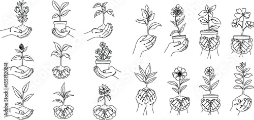 Line Art Hands Holding Plants, Flowers, and Seedlings Growth and Nurturing