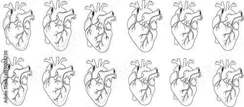 Repeating Pattern of Anatomical Heart Illustrations, Medical Concept, Cardiovascular Health, Graphics