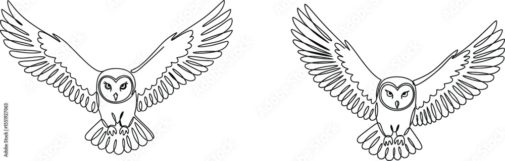 Obraz premium Two Line Art Owls in Flight, Illustration, Bird Outline Drawing