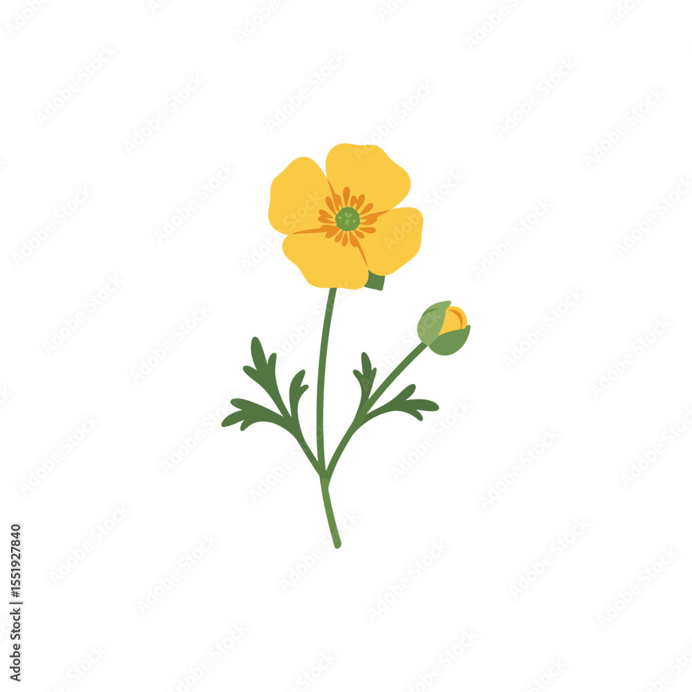 Obraz premium Colorful flat icon of buttercup flower with no white areas