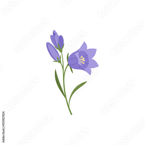  Colorful flat icon of bluebell flower with no white