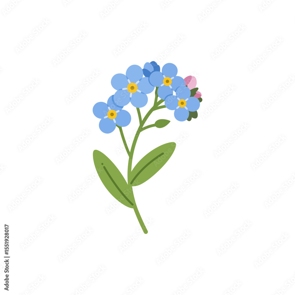 Naklejka premium Colorful flat icon of forget me not flower with no white