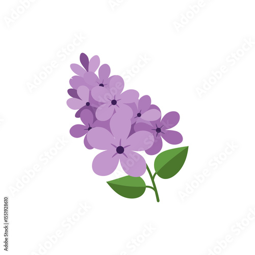 Colorful flat icon of lilac flower with no white
