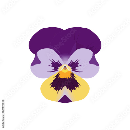  Colorful flat icon of pansy flower with no white