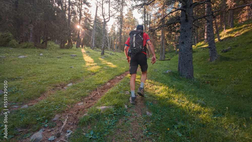 Obraz premium Trekking in the Aragonese Pyrenees: Man walking from Saravillo to the Lavasar refuge, with panoramic views of the trees and mountains of the Chistau Valley, a natural paradise in Huesca. 