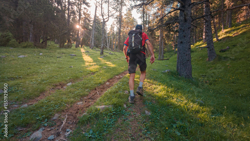 Quadro su tela Trekking in the Aragonese Pyrenees: Man walking from Saravillo to the Lavasar refuge, with panoramic views of the trees and mountains of the Chistau Valley, a natural paradise in Huesca