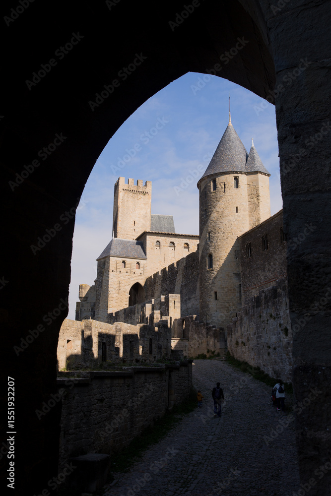 Obraz premium View of historic Carcassonne Castle in France