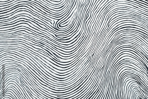 Organic Wavy Black Lines on a White Surface