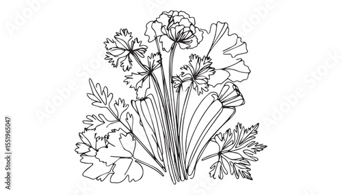 Continuous one single minimal line drawing celery Vegetables