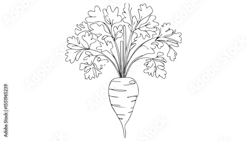 Continuous one single minimal line drawing CarrotVegetables