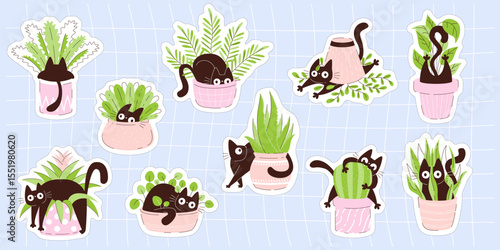 Set of cute cat sticker illustrations with playful black kittens hiding in flower pots. Flat  design perfect for planner decoration, scrapbooking, kids crafts and stationery