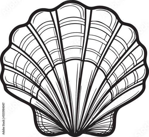 A detailed vector illustration of a sea shell with a prominent, intricate outline, emphasizing its curves and textures with a soft