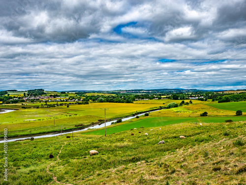 Wallpaper Mural Alnmouth and the river Aln in Northumberland with sheep Torontodigital.ca