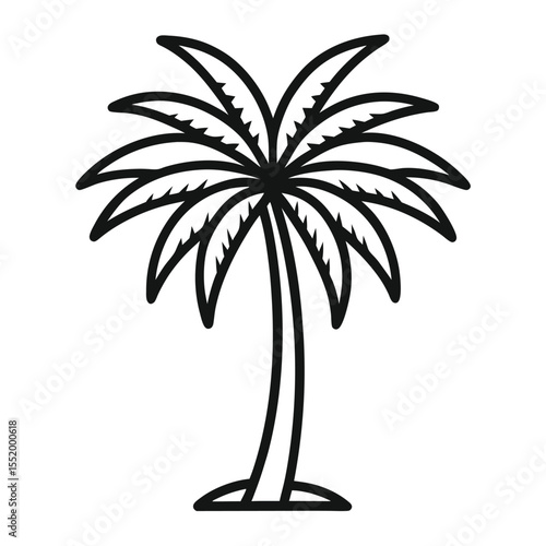 palm tree vector