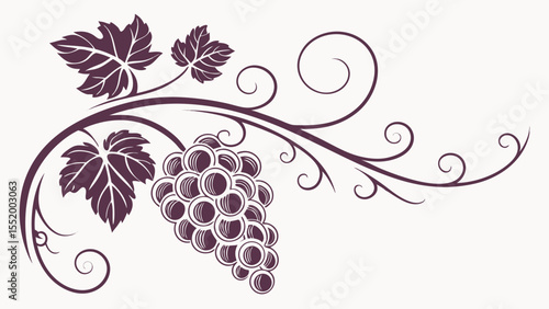 Elegant Grapevine Illustration Swirling Vines and Lush Grapes