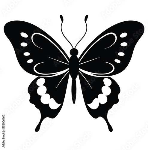 butterfly vector illustration
