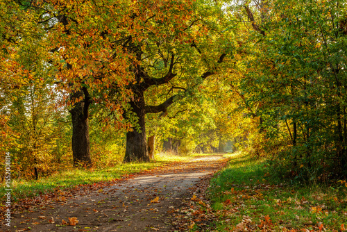 Jesień na Podlasiu. © Janusz Lipiński