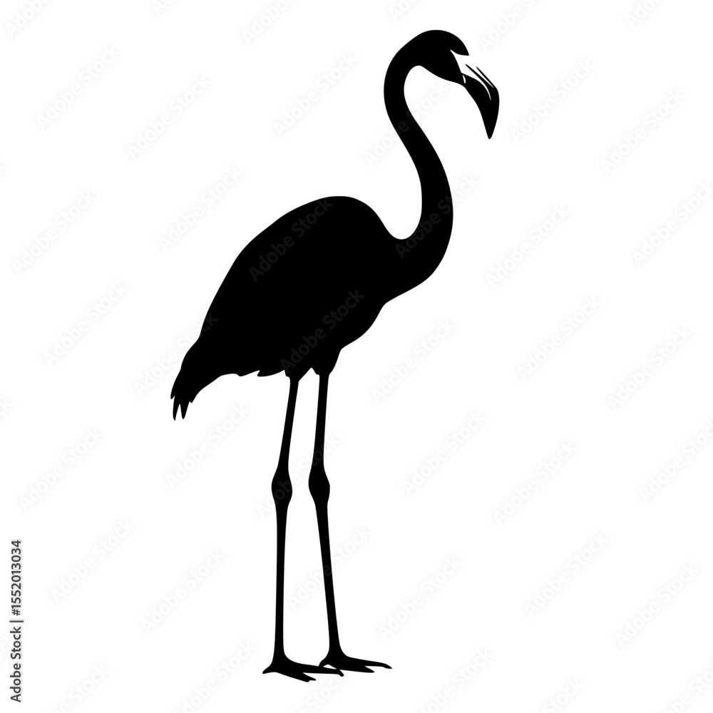 Obraz premium Silhouette of a flamingo standing on one leg, side view