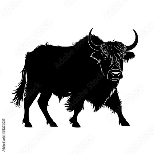 Silhouette of a yak with visible shaggy hair outlin bull