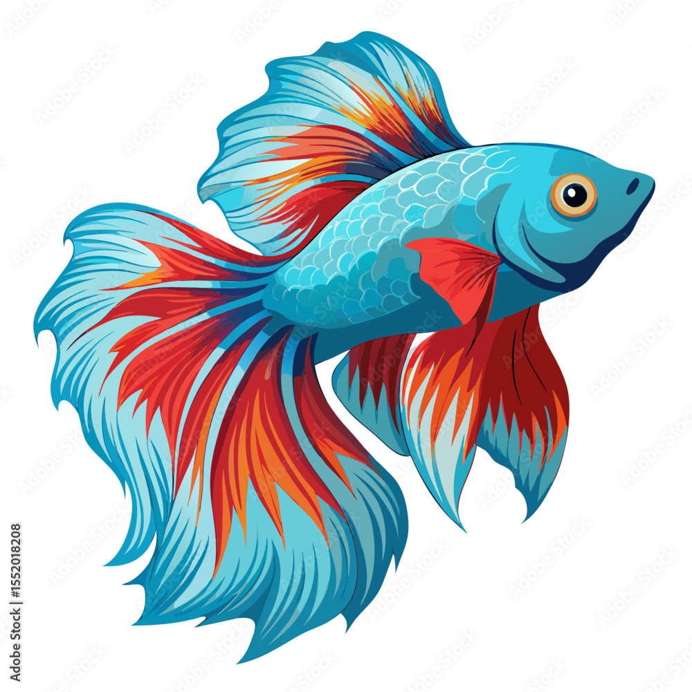 Fototapeta premium Clean Betta Fish Vector Illustration