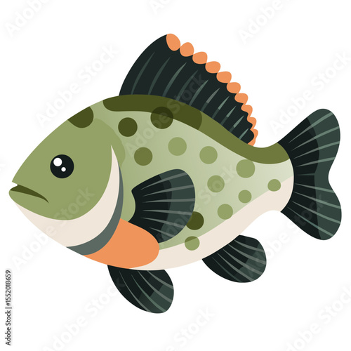 Clean Crappie Fish Vector Illustration