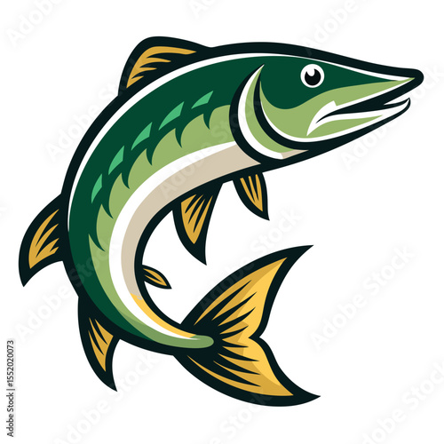 Clean Pike Fish Vector Illustration