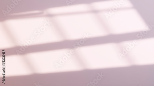 Abstract Shadows on Dusty Rose