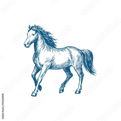 A sketch art of a horse running, showing the initial outline