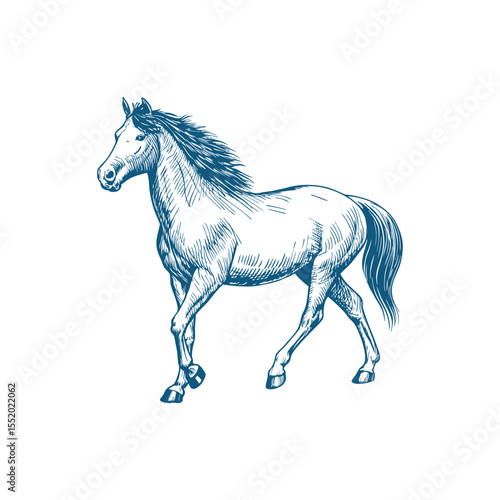 A sketch art of a horse running, showing the initial outline