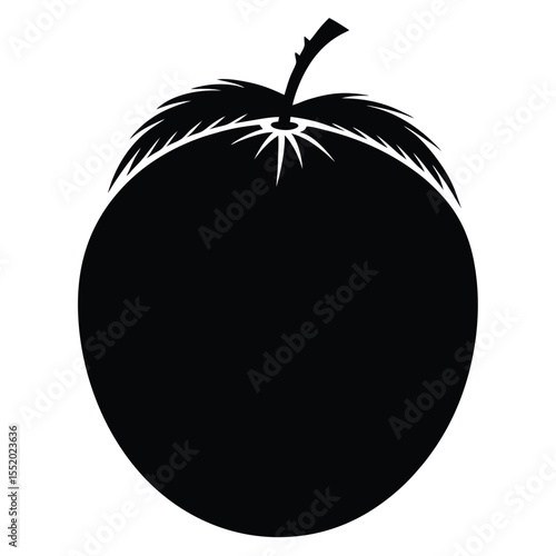 tomato vector illustration