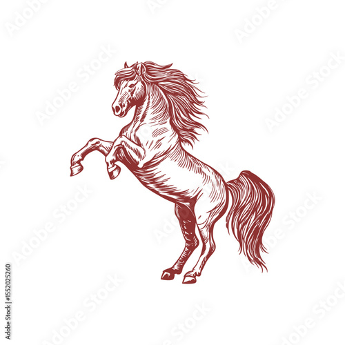 A sketch art of a horse running, showing the initial outline