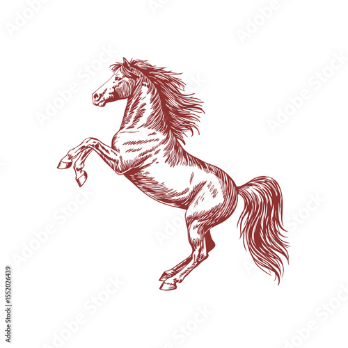 A sketch art of a horse running, showing the initial outline