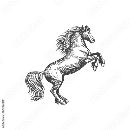 A sketch art of a horse running, showing the initial outline