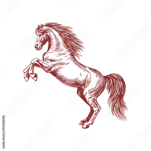A sketch art of a horse running, showing the initial outline