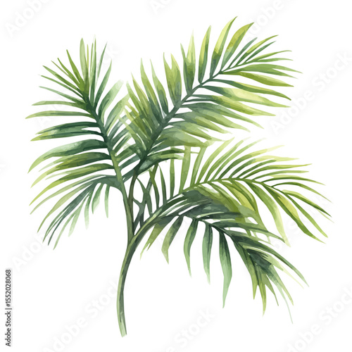 Palm Leaves Swaying Breeze, watercolor clipart vector, isolated on a white background.