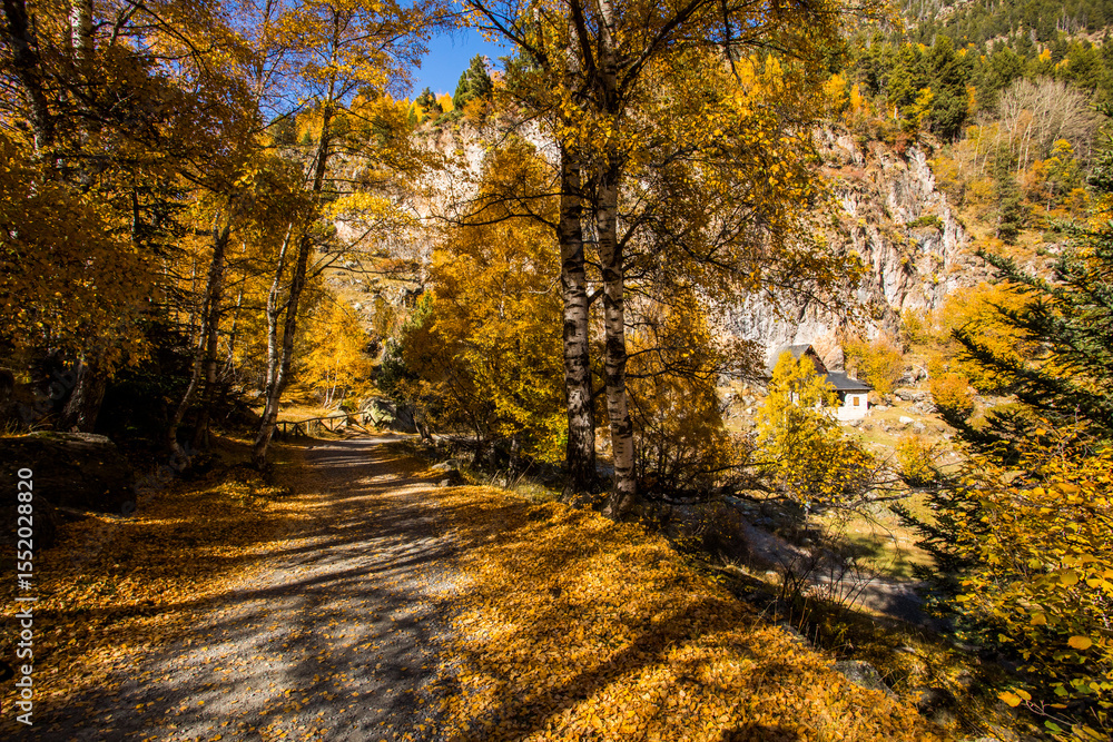 Obraz premium Autumn landscape in Aiguestortes and Sant Maurici National Park, Spain