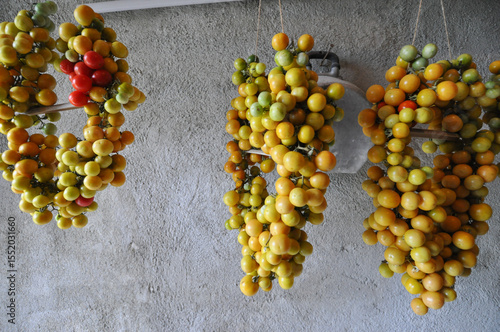 Fototapeta kuchenna cherry tomato grape