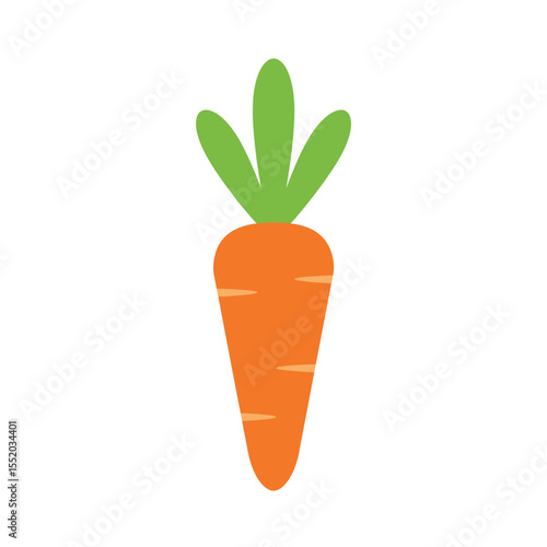 Fresh orange carrot cartoon vector illustration, isolated on a white background
