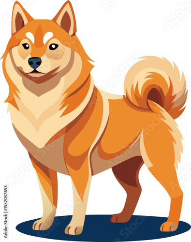 Finnish Spitz dog  vector 