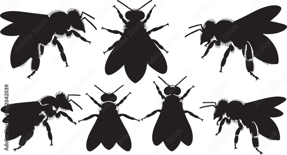 Naklejka premium Collection of Honeybee Silhouettes Vector Illustrations for Design Projects