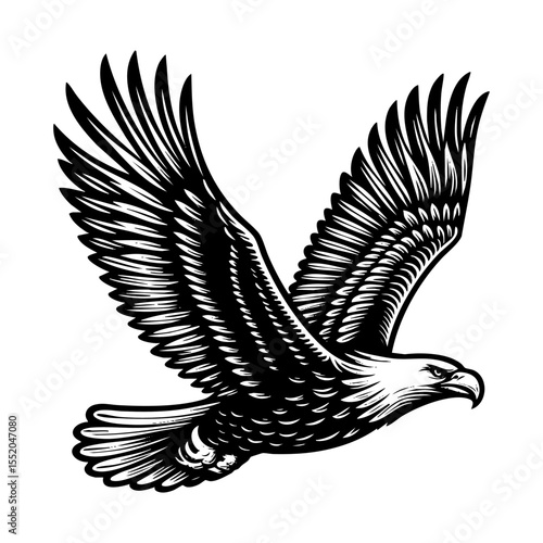 eagle flying in the sky sketch engraving black and white outline. Scratch board imitation.