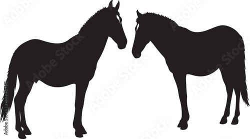 Ethiopian horses in silhouette pure white background. in silhouette pure white background